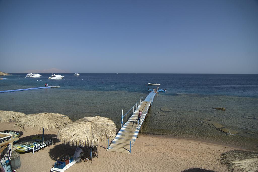 Umbi Sharks Bay Diving Village Sharm el-Sheikh Luaran gambar